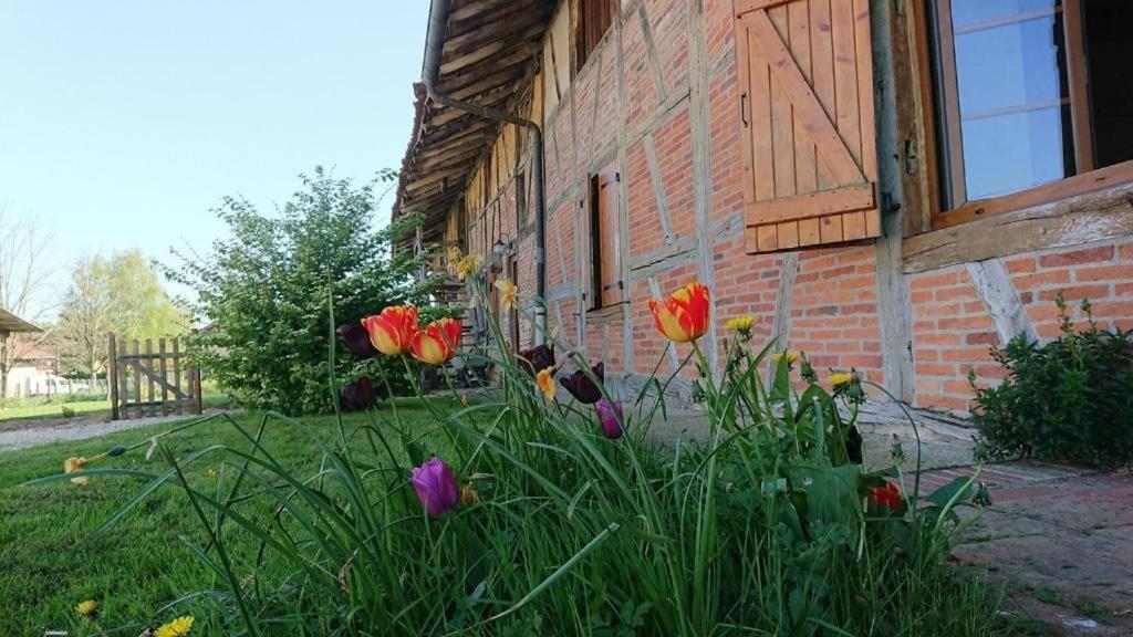 A La Poularde B&B Curciat-Dongalon Habitación foto